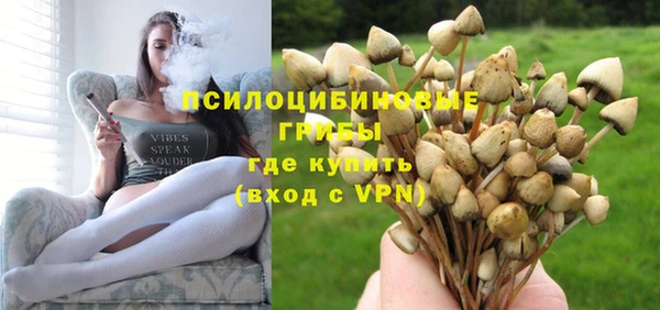 метадон Липки