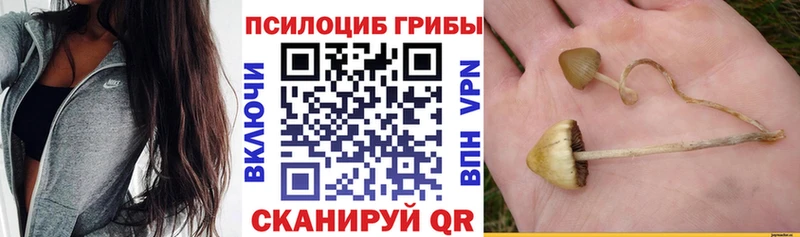 купить наркоту  Очёр  Галлюциногенные грибы мицелий 